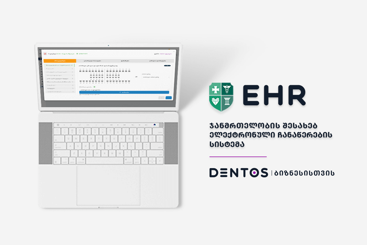 EHR სისტემის შესახებ